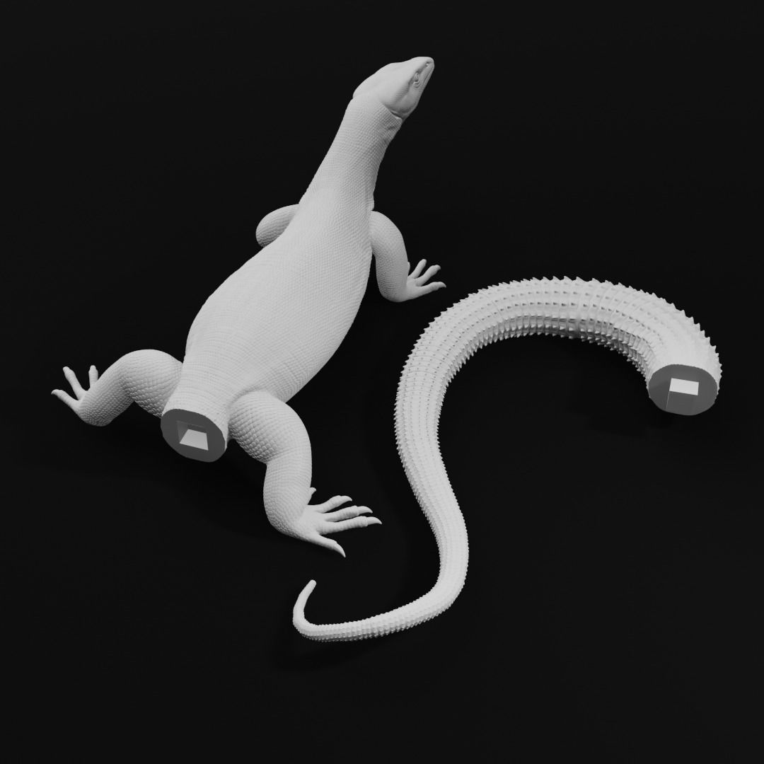 Ackie Monitor - Spiny Tailed Monitor - Lizard Reptile 3D Print 3D print model_11