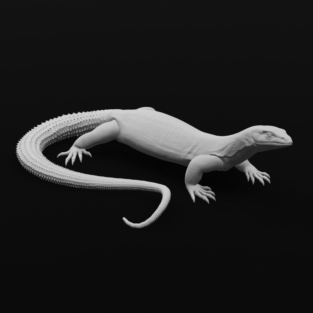 Ackie Monitor - Spiny Tailed Monitor - Lizard Reptile 3D Print 3D print model_2