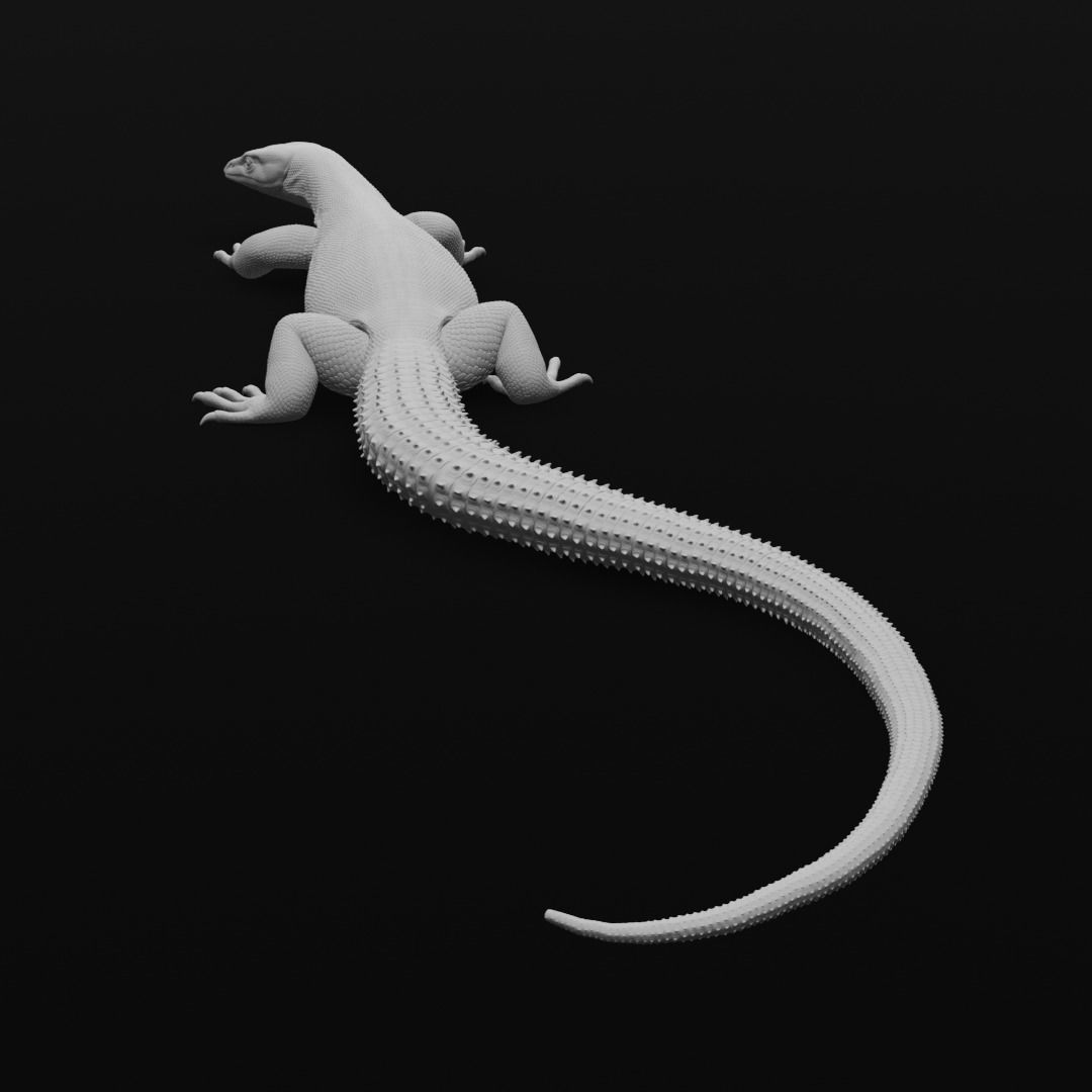 Ackie Monitor - Spiny Tailed Monitor - Lizard Reptile 3D Print 3D print model_9
