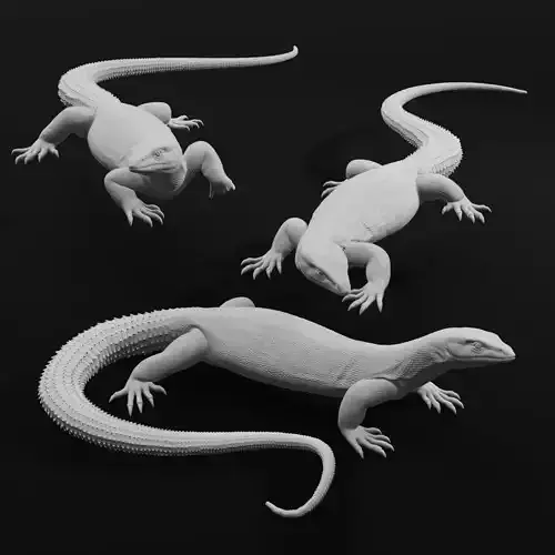 Ackie Monitor - Spiny Tailed Monitor - Lizard Reptile 3D Print 3D print model