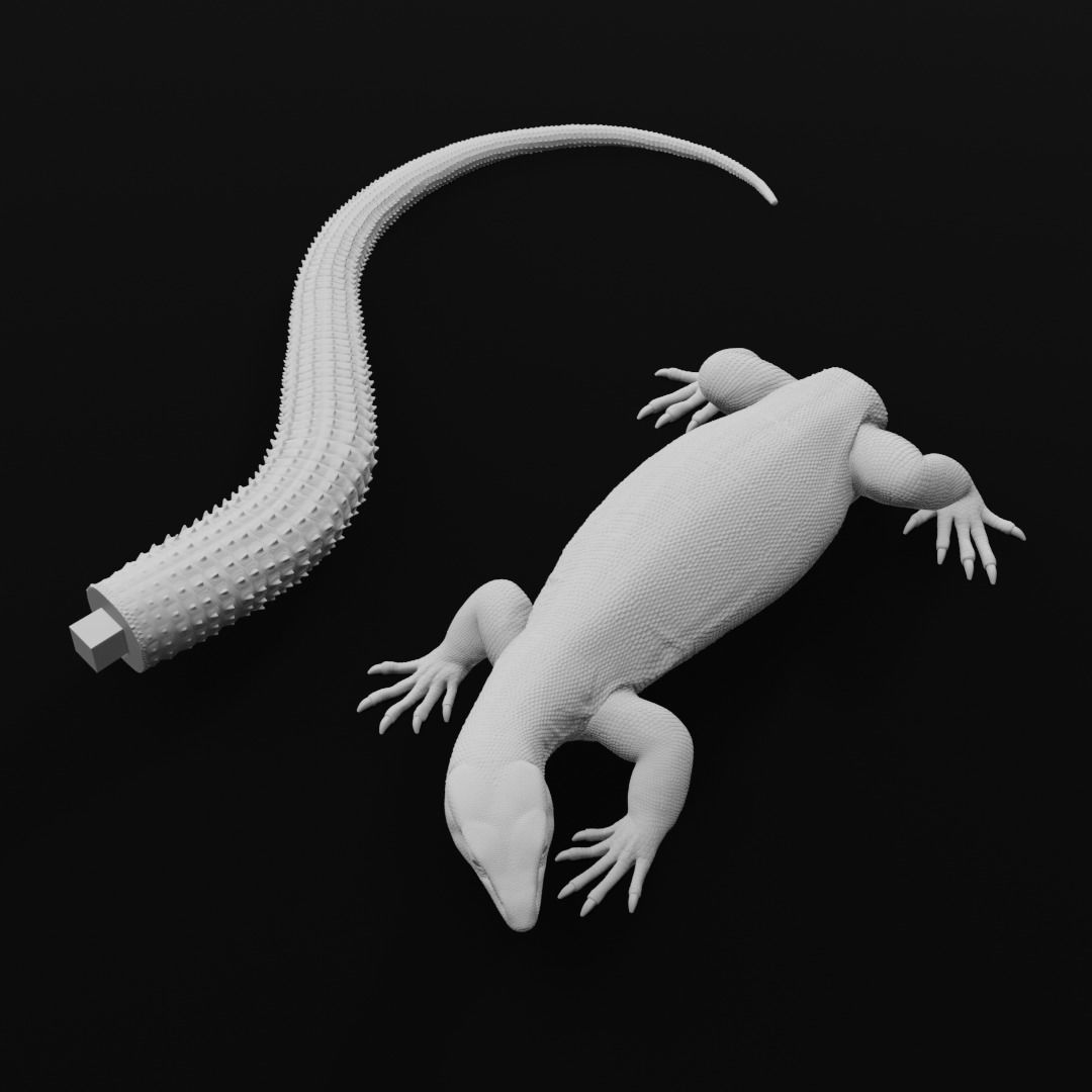 Ackie Monitor - Spiny Tailed Monitor - Lizard Reptile 3D Print 3D print model_12
