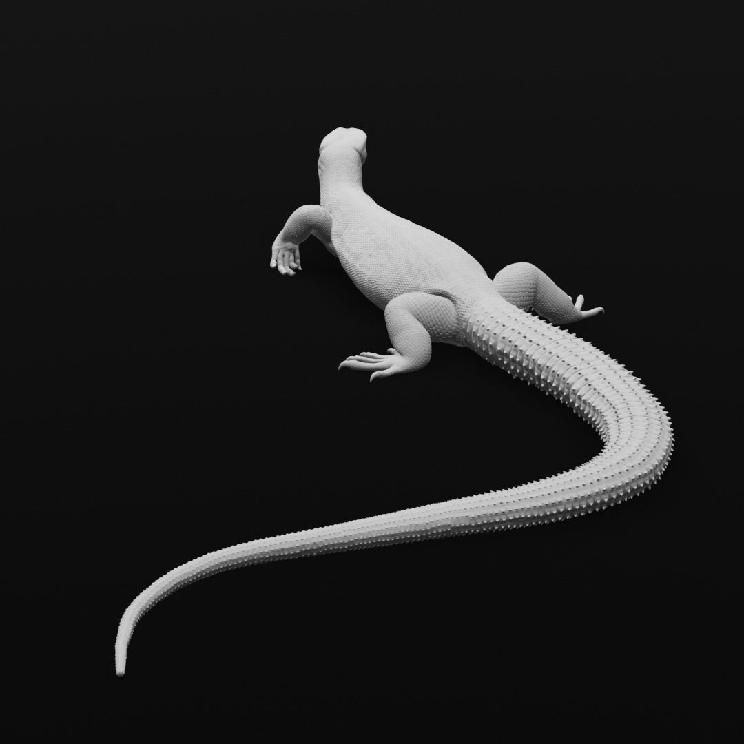 Ackie Monitor - Spiny Tailed Monitor - Lizard Reptile 3D Print 3D print model_6