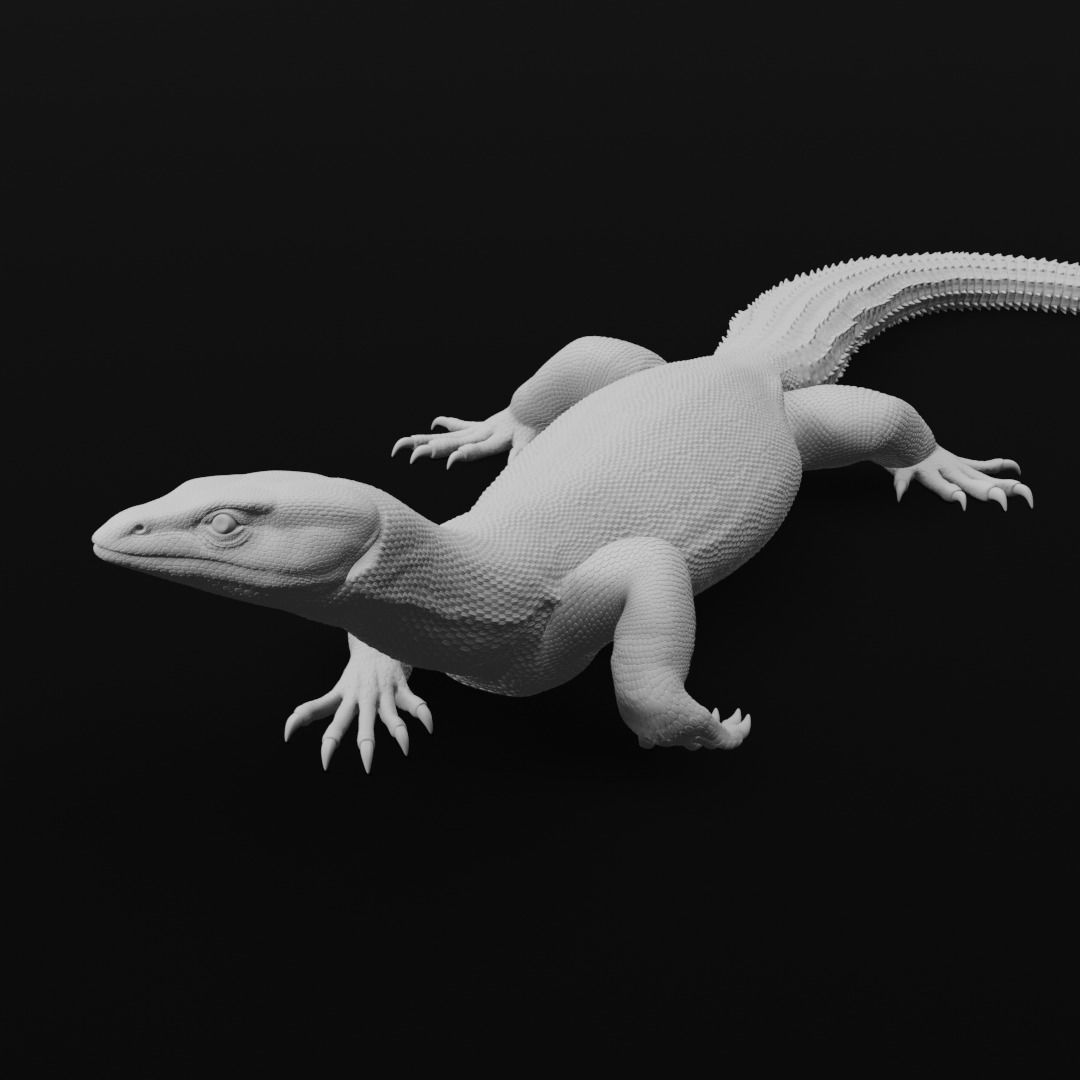 Ackie Monitor - Spiny Tailed Monitor - Lizard Reptile 3D Print 3D print model_5