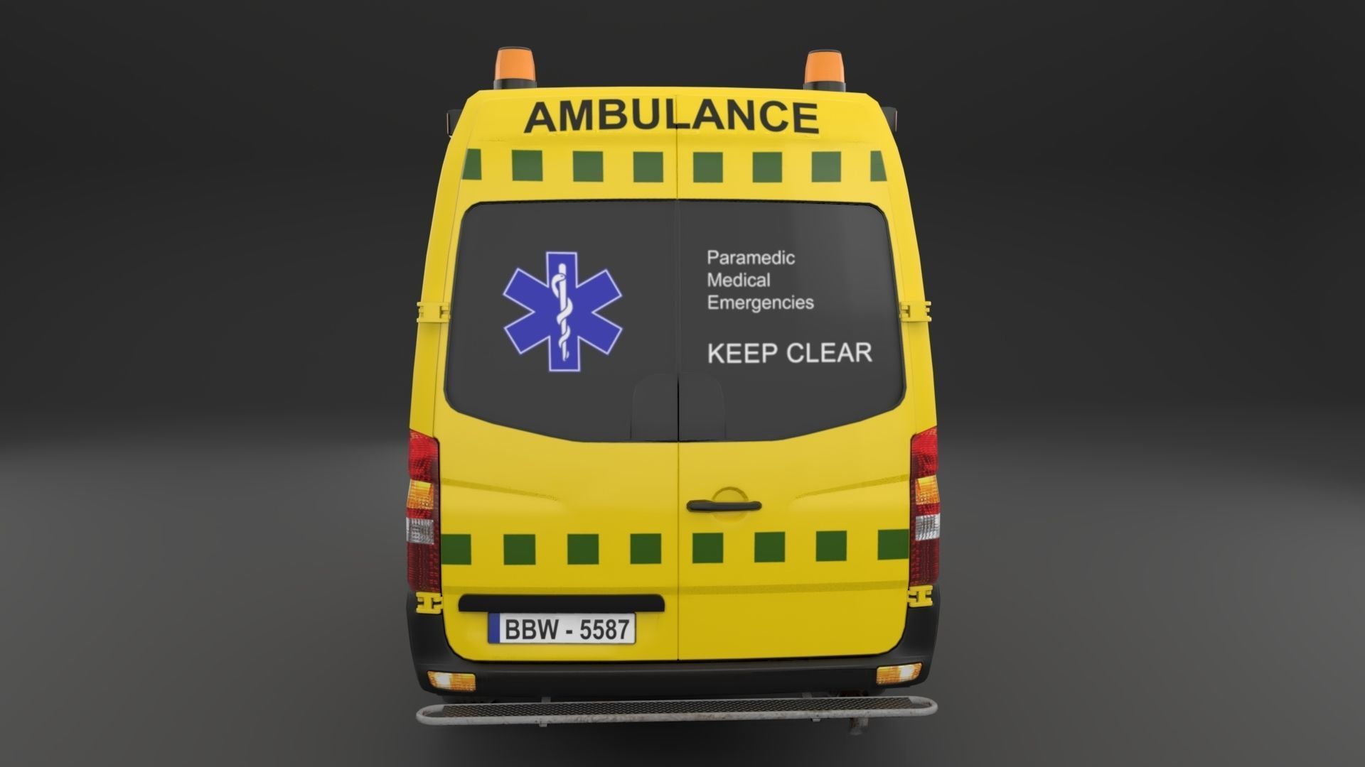 Paramedic Teams Rigged 3D model_34