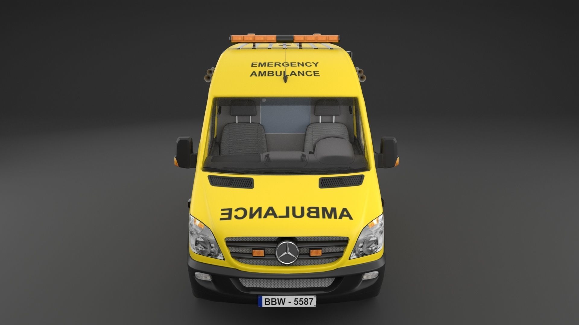Paramedic Teams Rigged 3D model_33