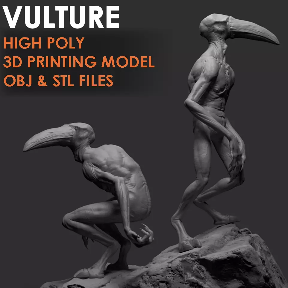 Vulture 3D Printable Sculpt 3D print model_0