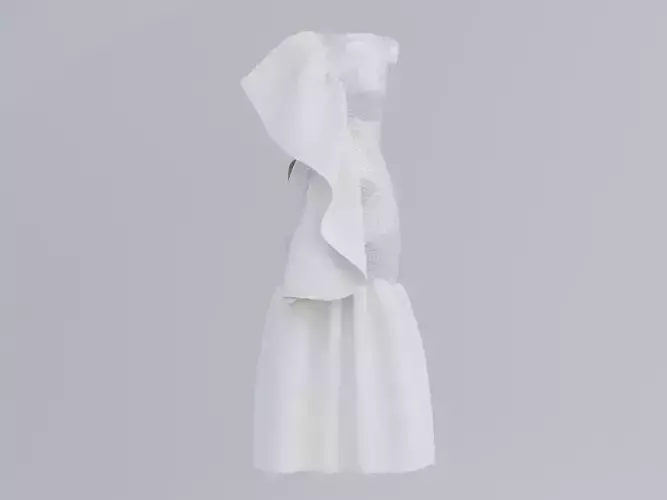 Wedding dress-Clothing High-poly 3D model
