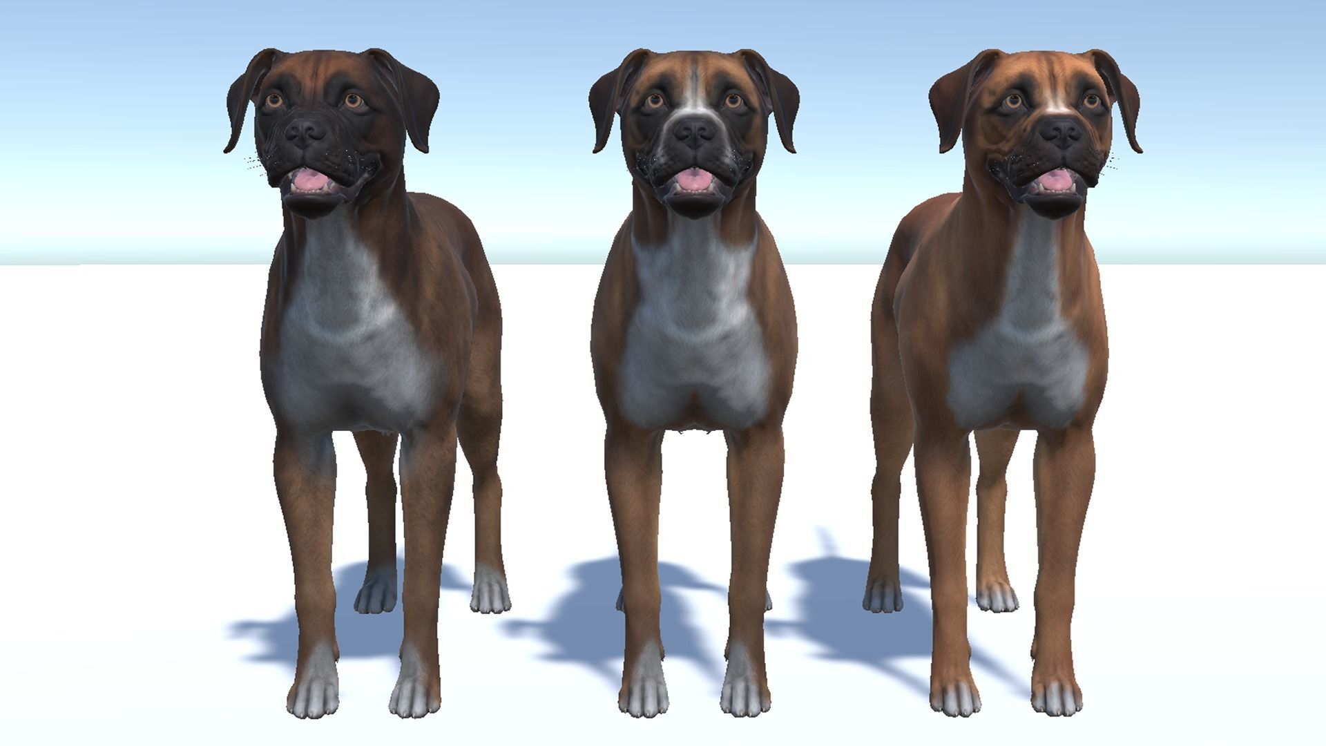 Dog - Boxer Low-poly 3D model_11