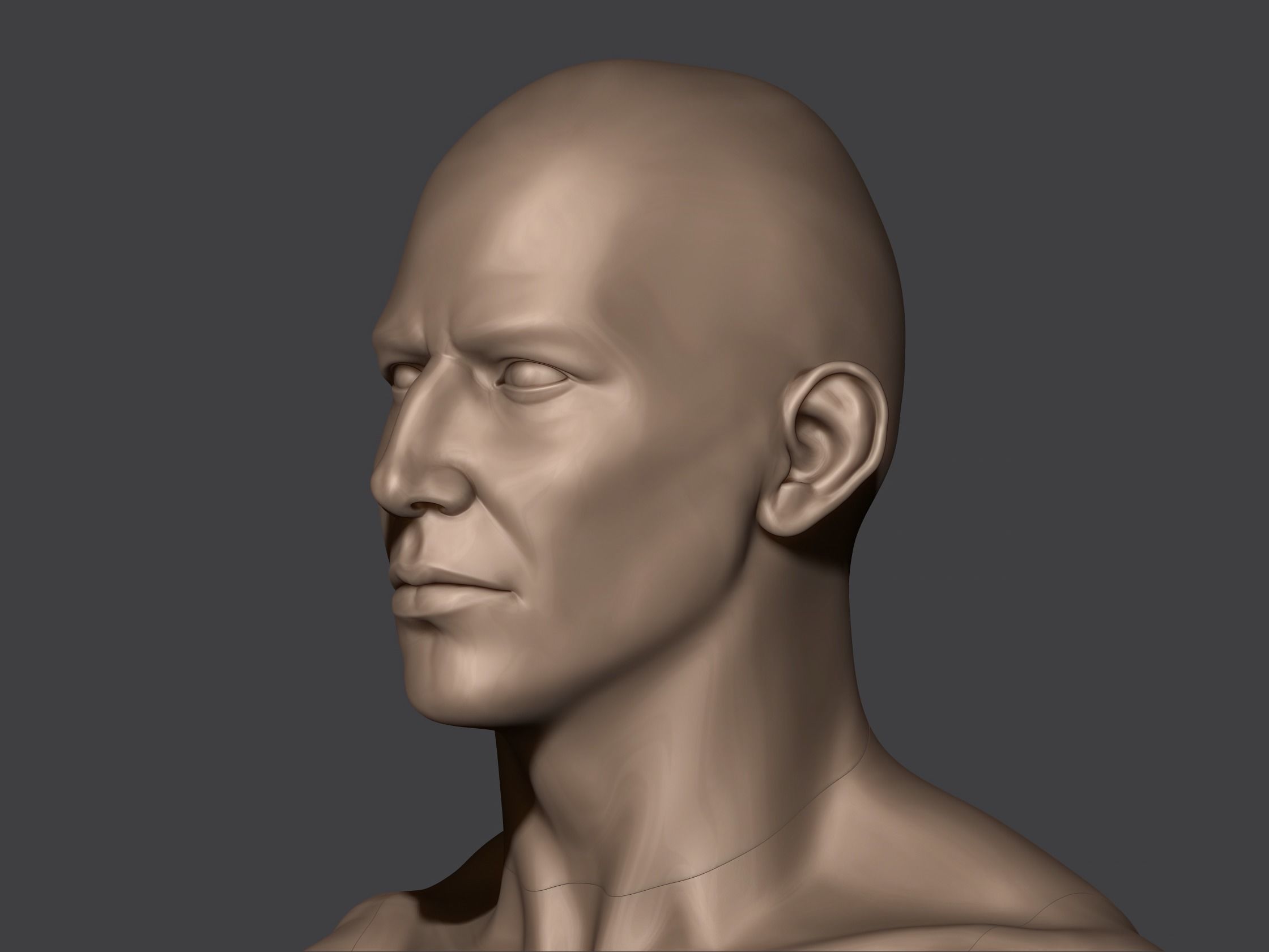 Male Anatomy 3D print model_3