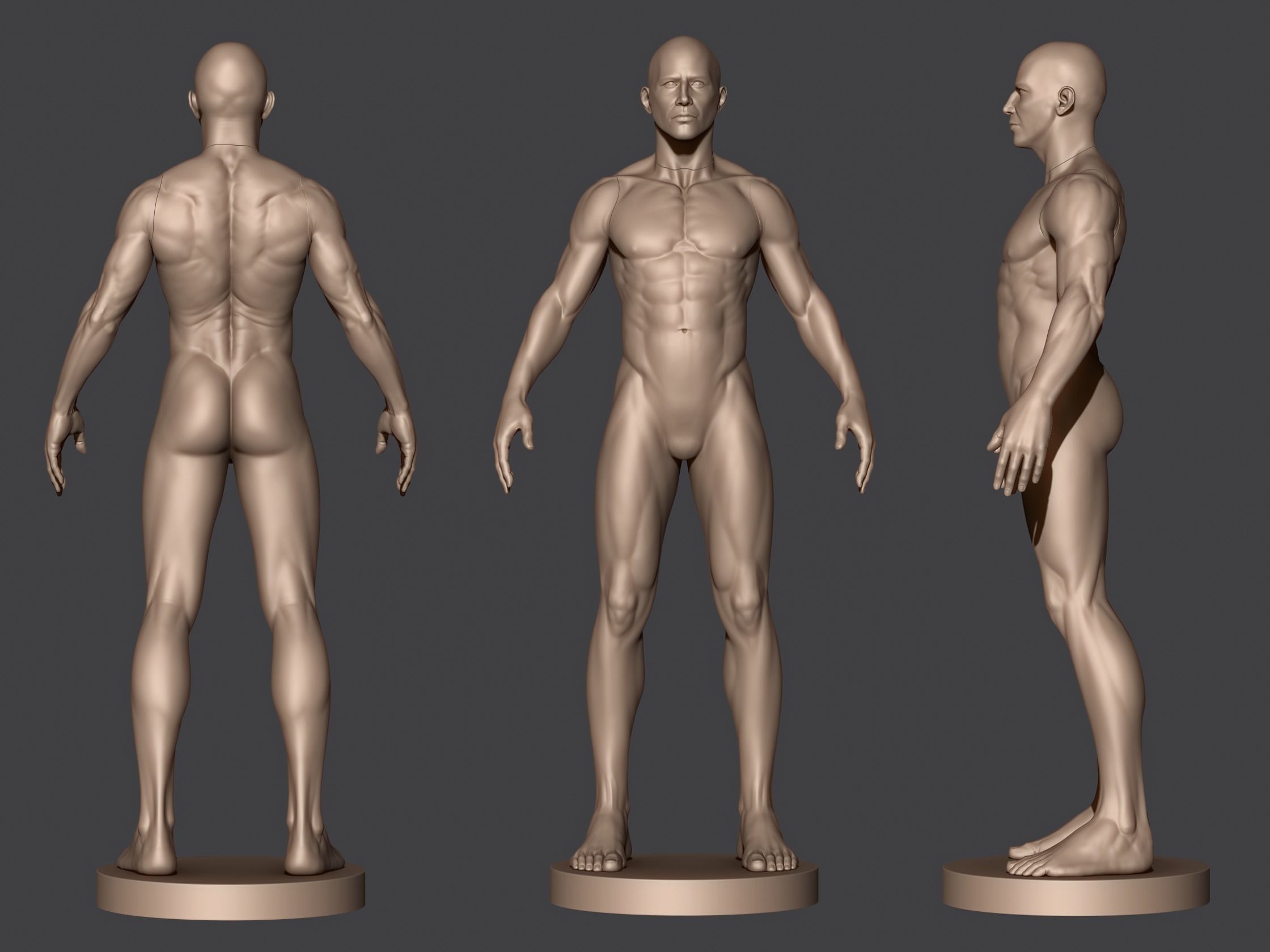 Male Anatomy 3D print model_1