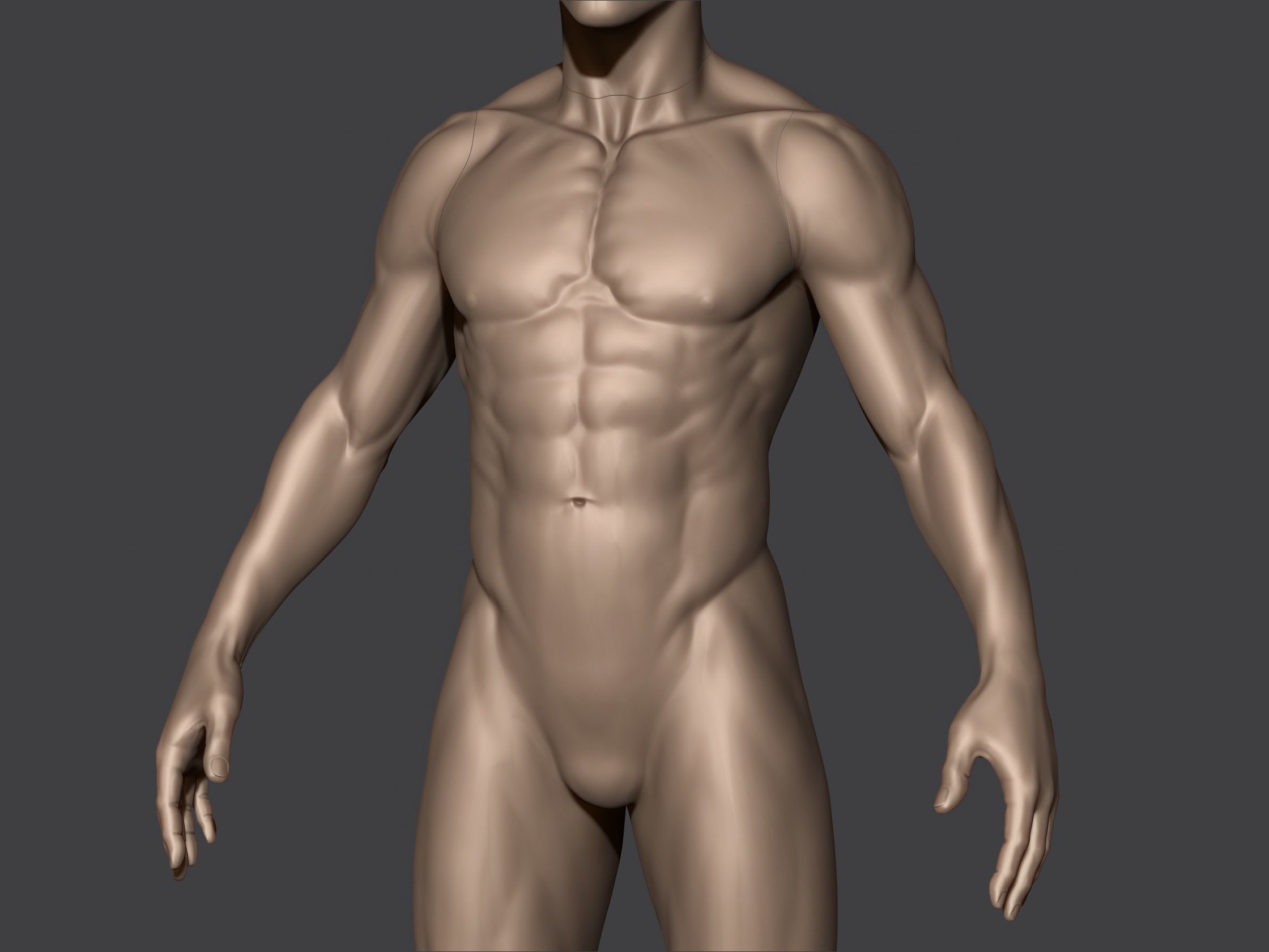 Male Anatomy 3D print model_4