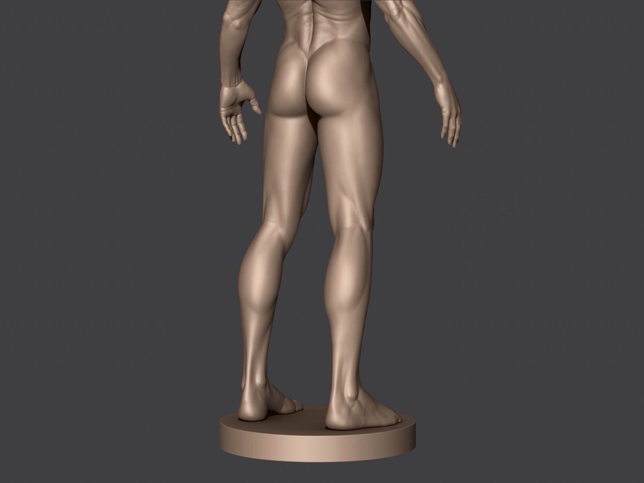 Male Anatomy 3D print model_7