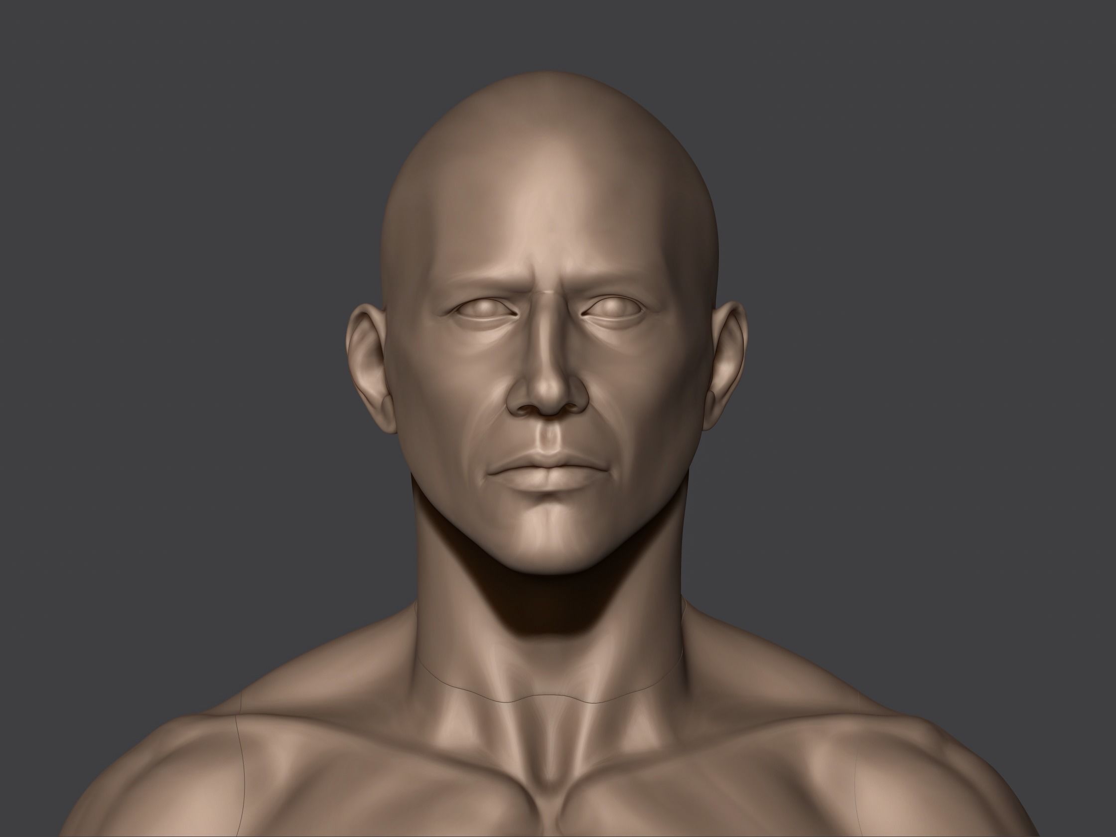 Male Anatomy 3D print model_2
