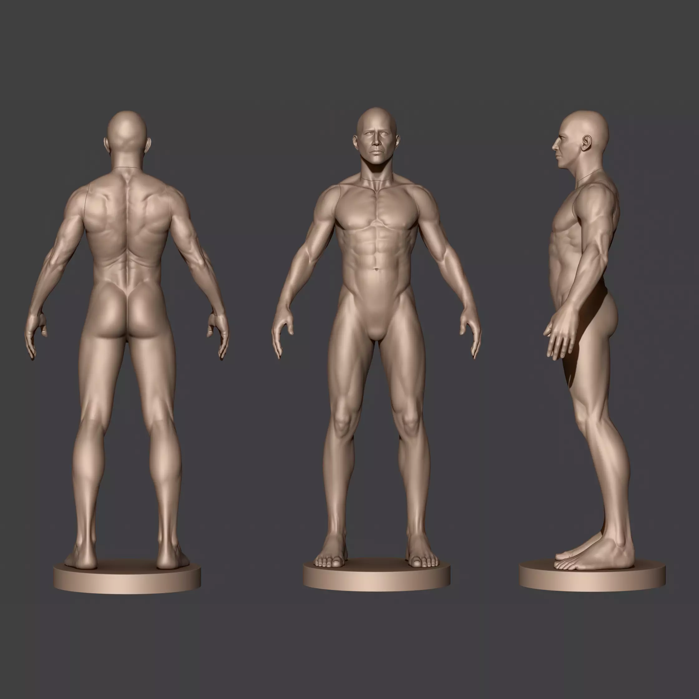 Male Anatomy 3D print model_0