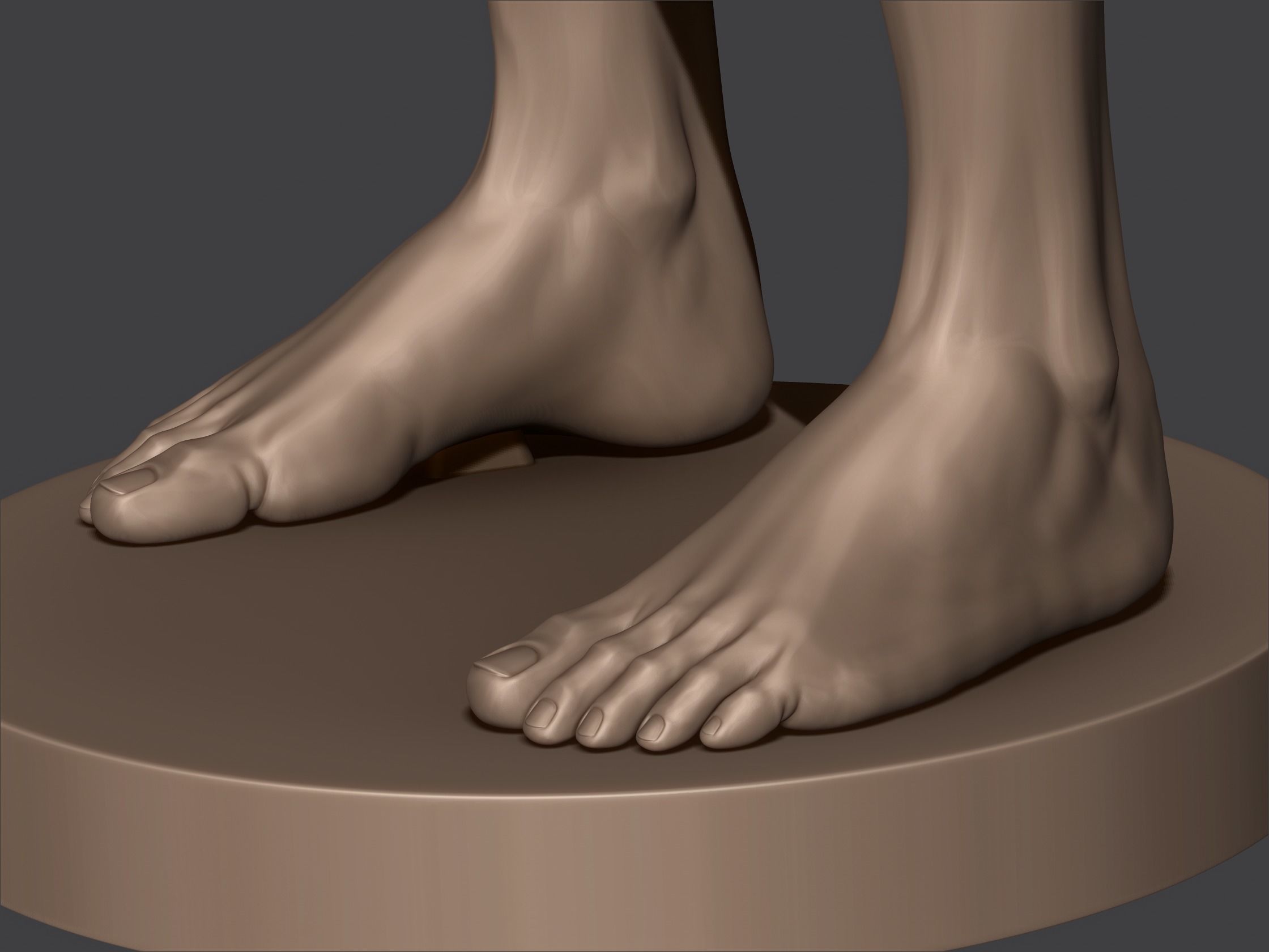 Male Anatomy 3D print model_5