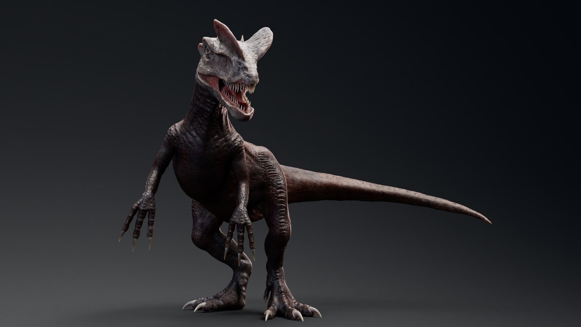 Dinosaur Dilophosaurus Low-poly 3D model_30