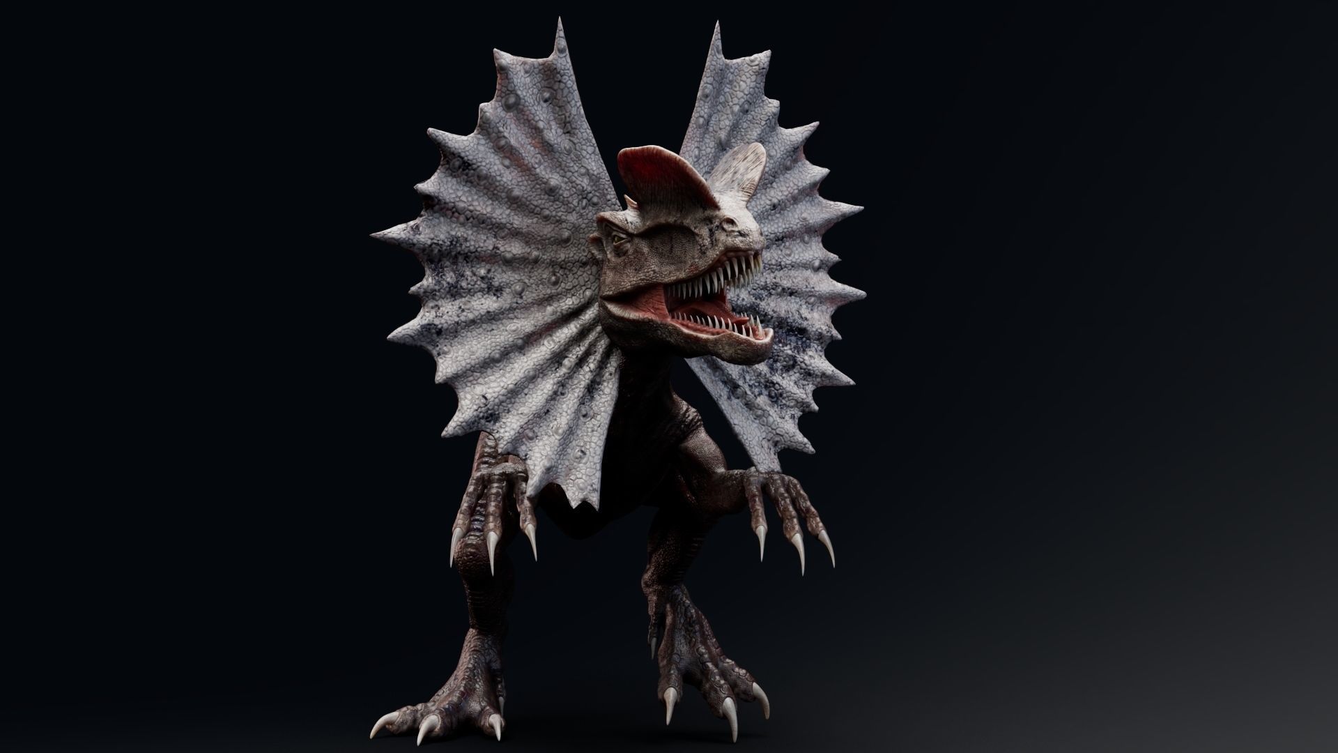 Dinosaur Dilophosaurus Low-poly 3D model_14