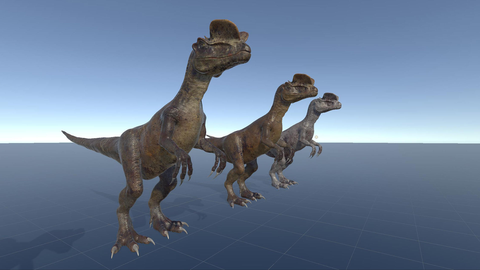 Dinosaur Dilophosaurus Low-poly 3D model_55