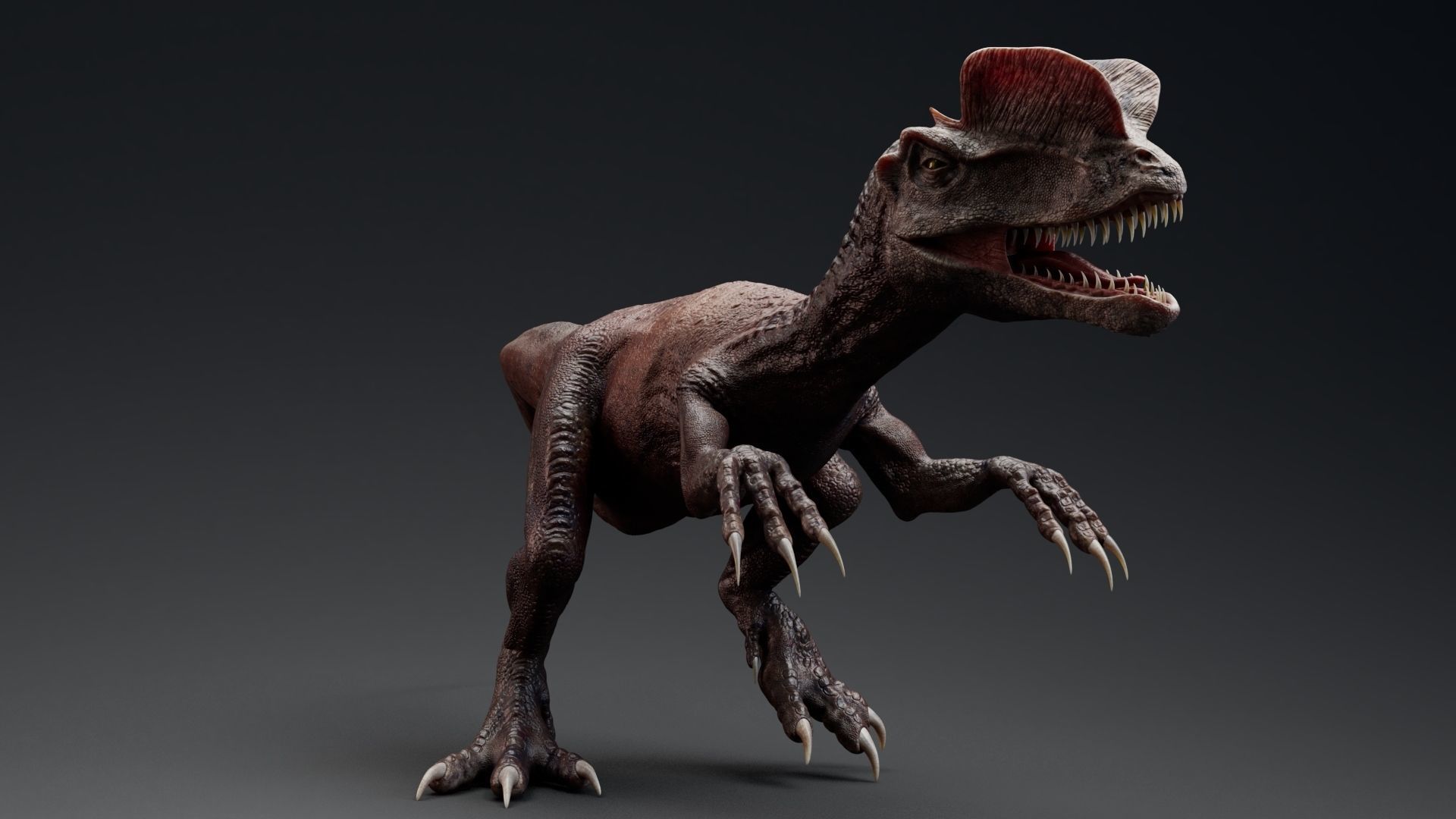 Dinosaur Dilophosaurus Low-poly 3D model_13