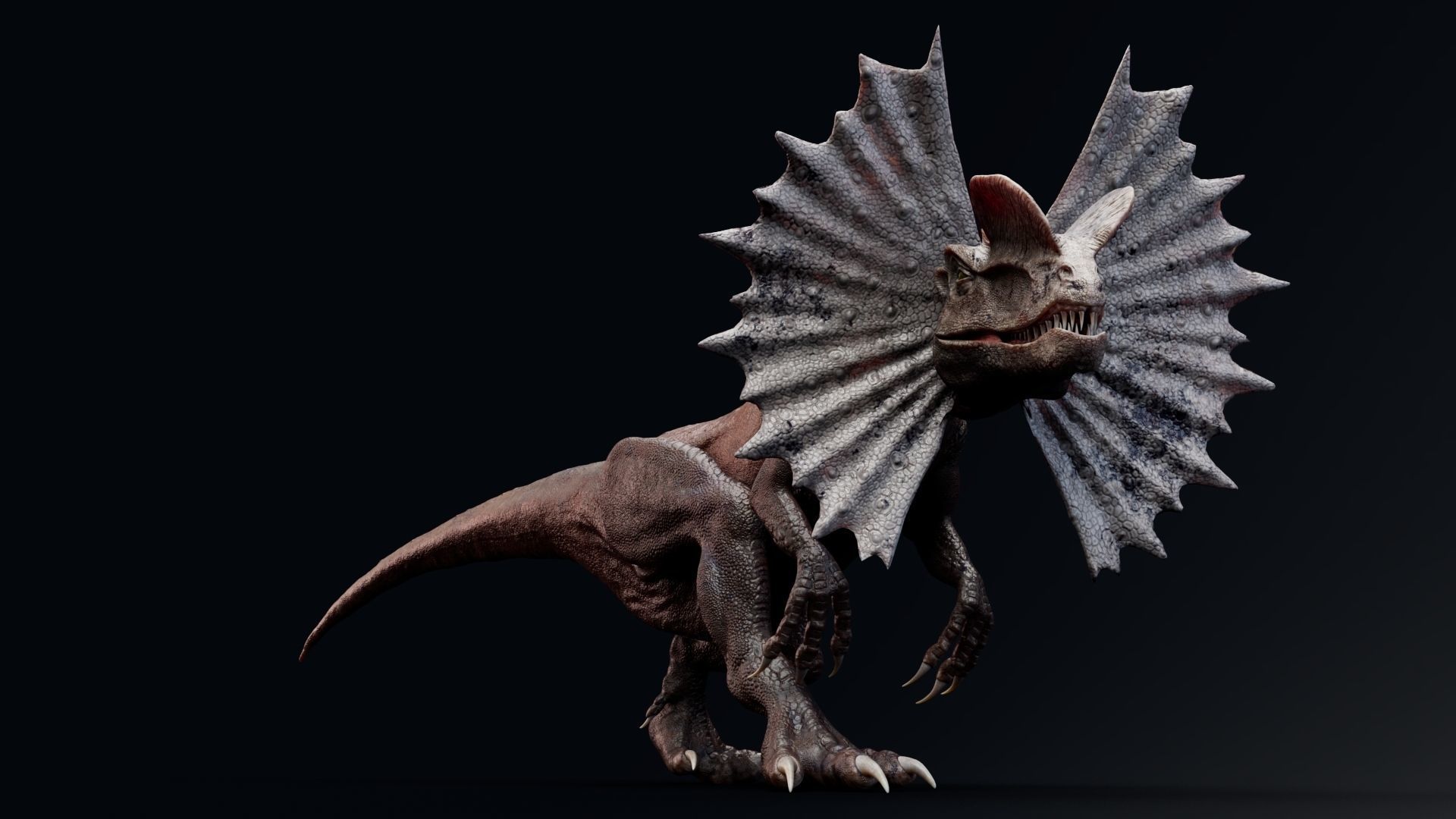 Dinosaur Dilophosaurus Low-poly 3D model_26