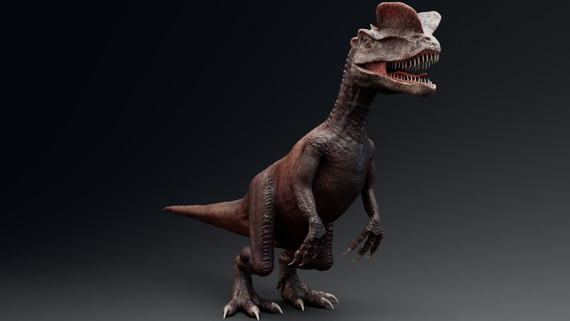 Dinosaur Dilophosaurus Low-poly 3D model_16