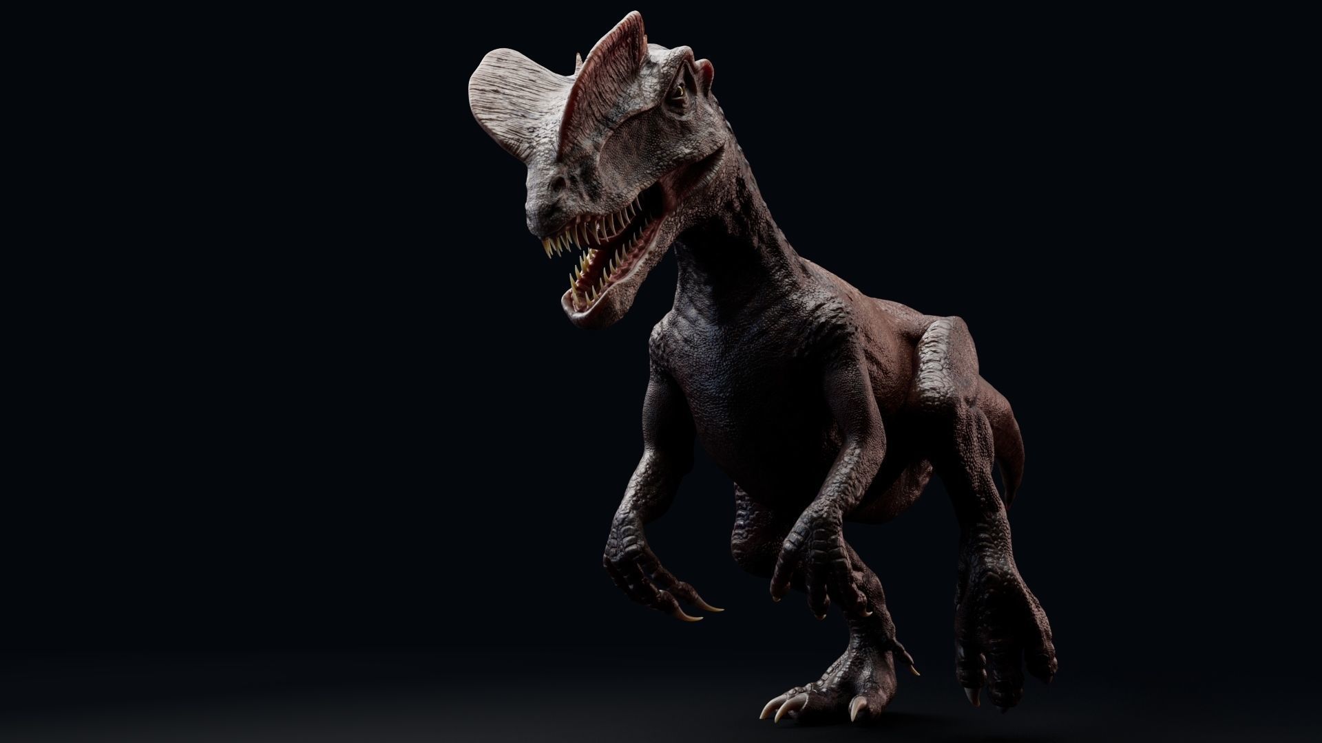 Dinosaur Dilophosaurus Low-poly 3D model_28