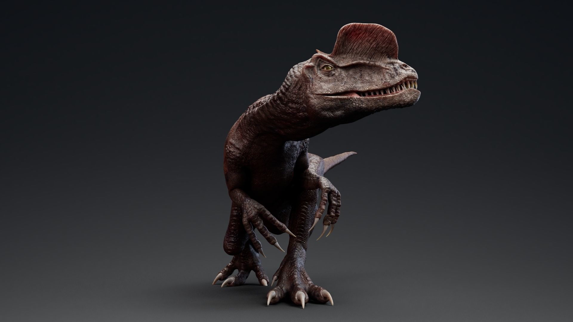 Dinosaur Dilophosaurus Low-poly 3D model_24
