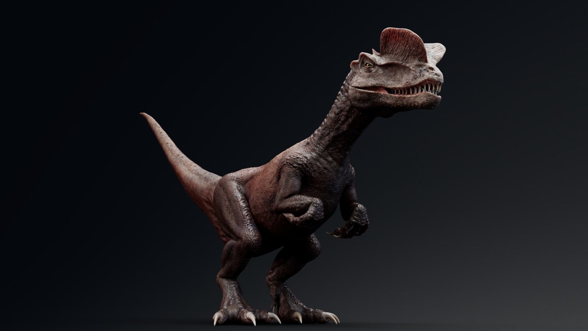 Dinosaur Dilophosaurus Low-poly 3D model_18