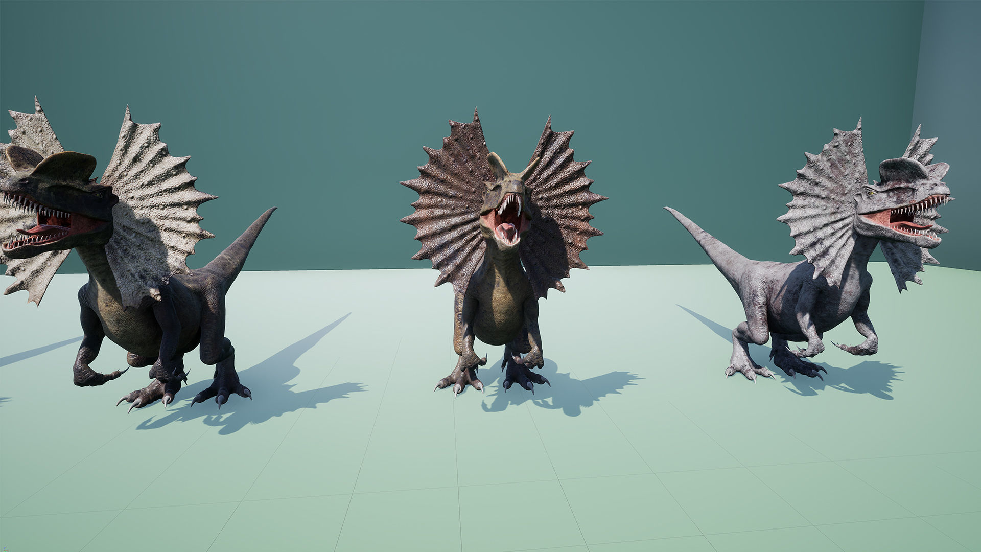 Dinosaur Dilophosaurus Low-poly 3D model_35