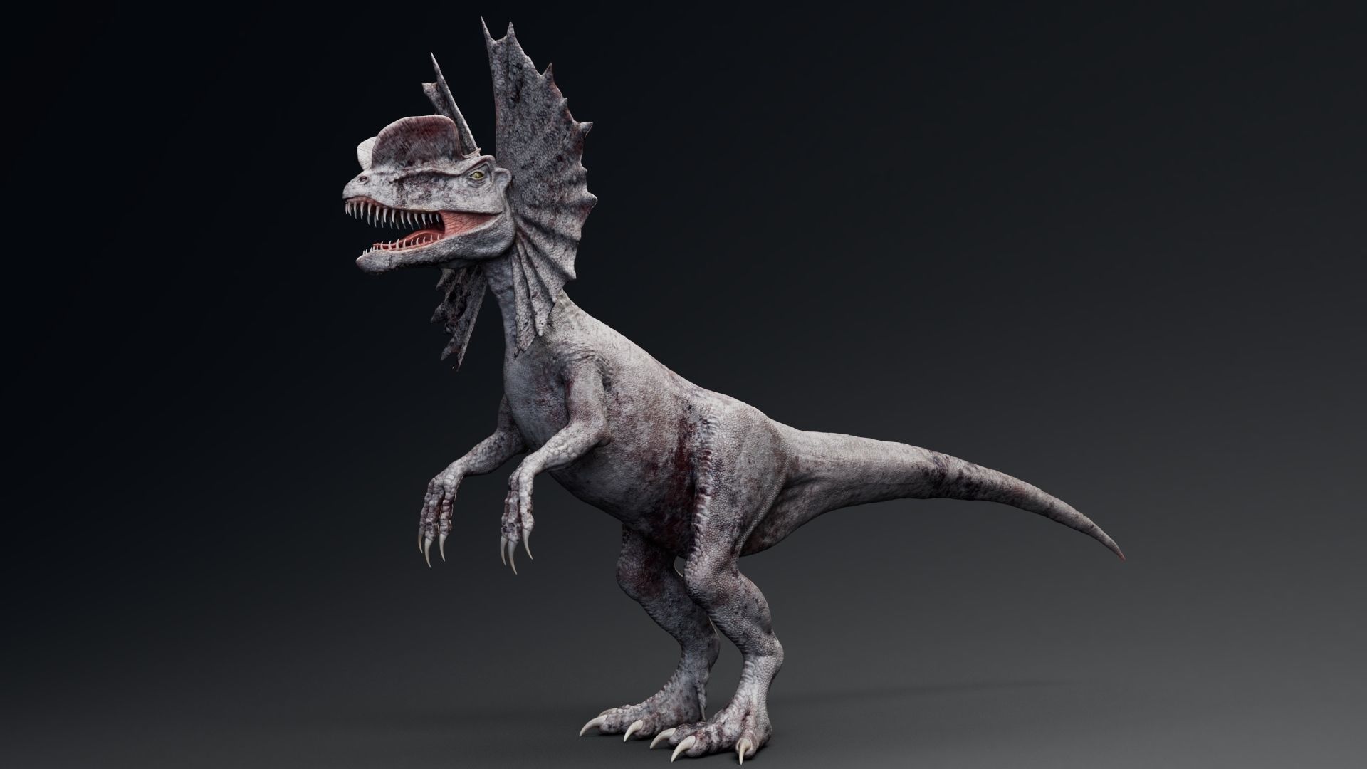 Dinosaur Dilophosaurus Low-poly 3D model_11