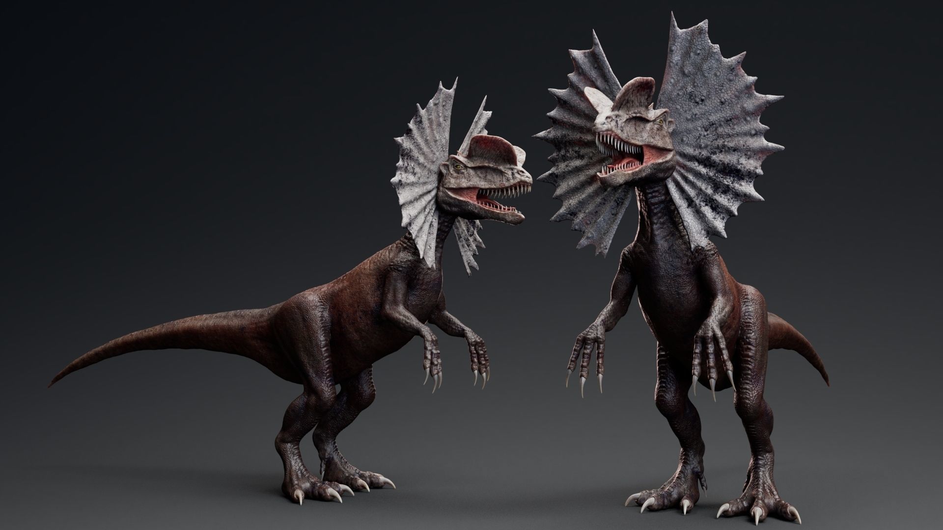 Dinosaur Dilophosaurus Low-poly 3D model_4