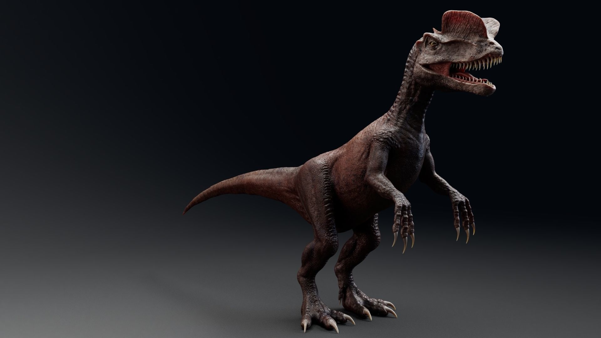 Dinosaur Dilophosaurus Low-poly 3D model_3