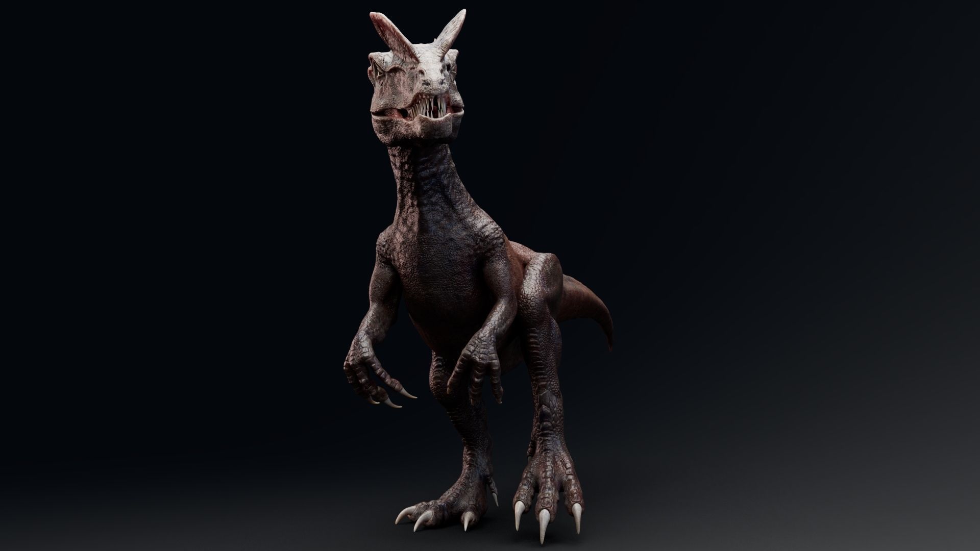 Dinosaur Dilophosaurus Low-poly 3D model_22