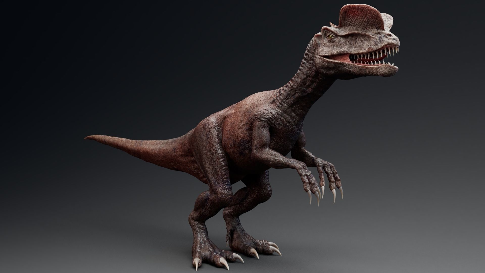 Dinosaur Dilophosaurus Low-poly 3D model_17