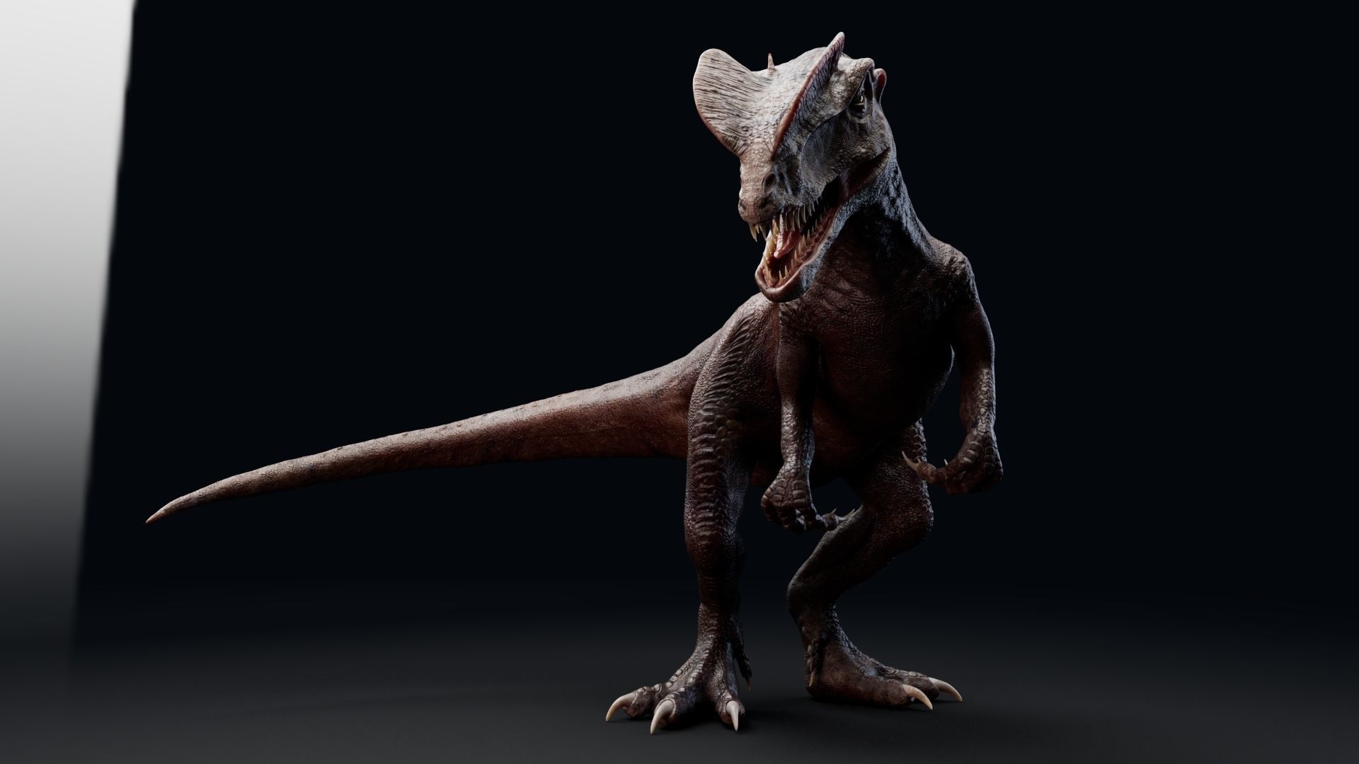Dinosaur Dilophosaurus Low-poly 3D model_32