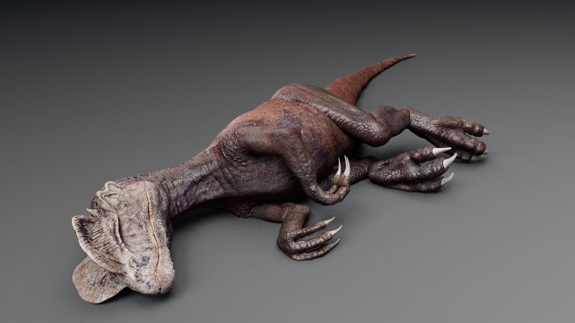 Dinosaur Dilophosaurus Low-poly 3D model_15