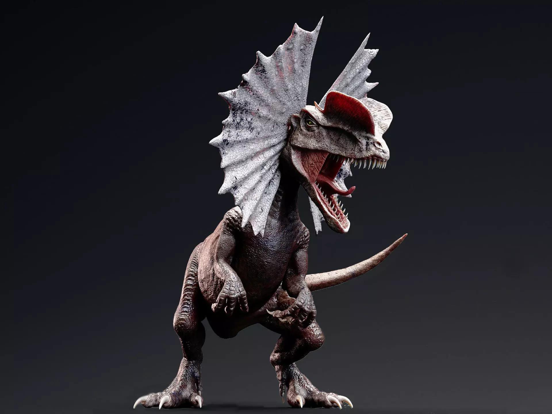 Dinosaur Dilophosaurus Low-poly 3D model_0