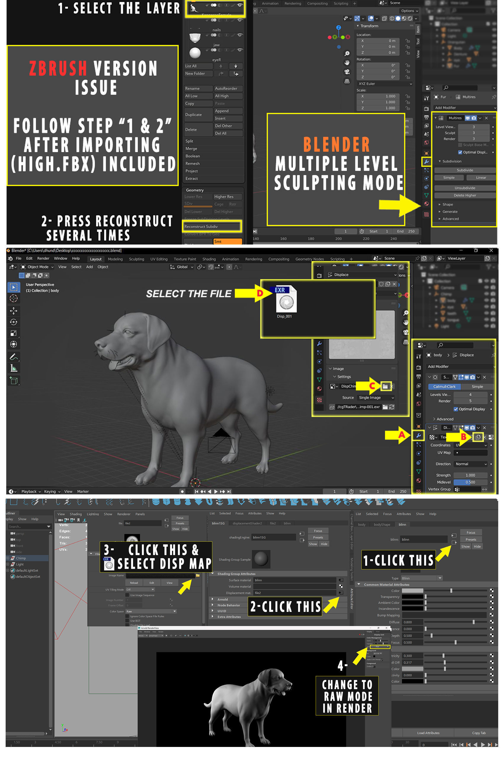 Labrador Dog 3D model_7