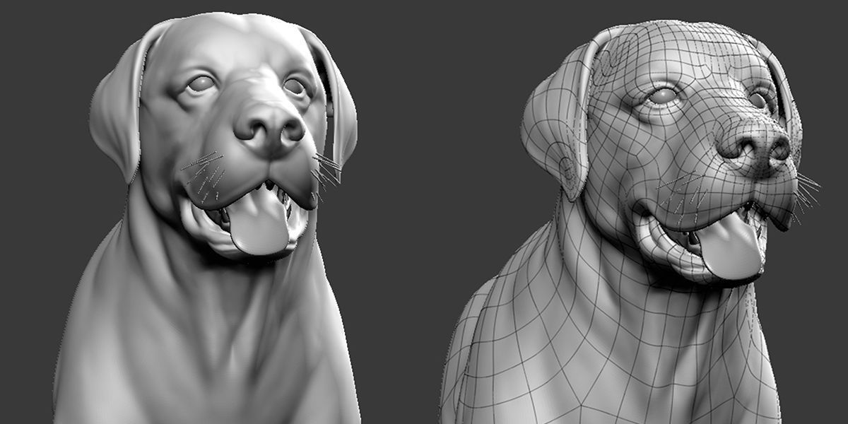 Labrador Dog 3D model_2