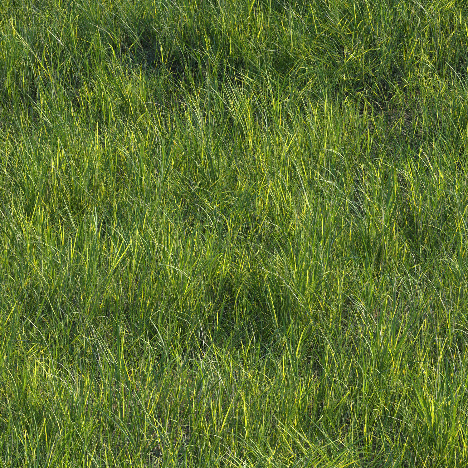 grass set07 3D model_2