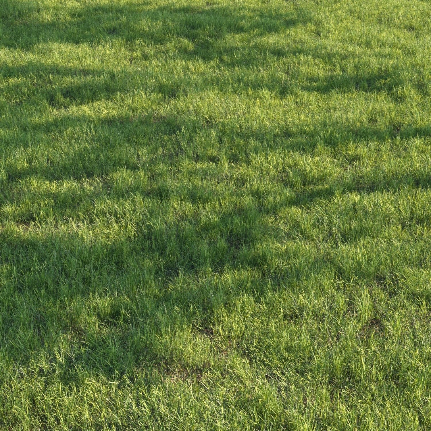 grass set07 3D model_5