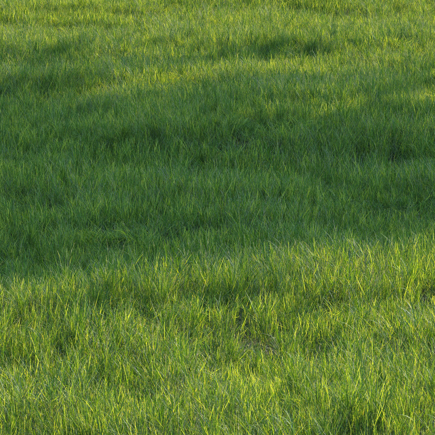 grass set07 3D model_3