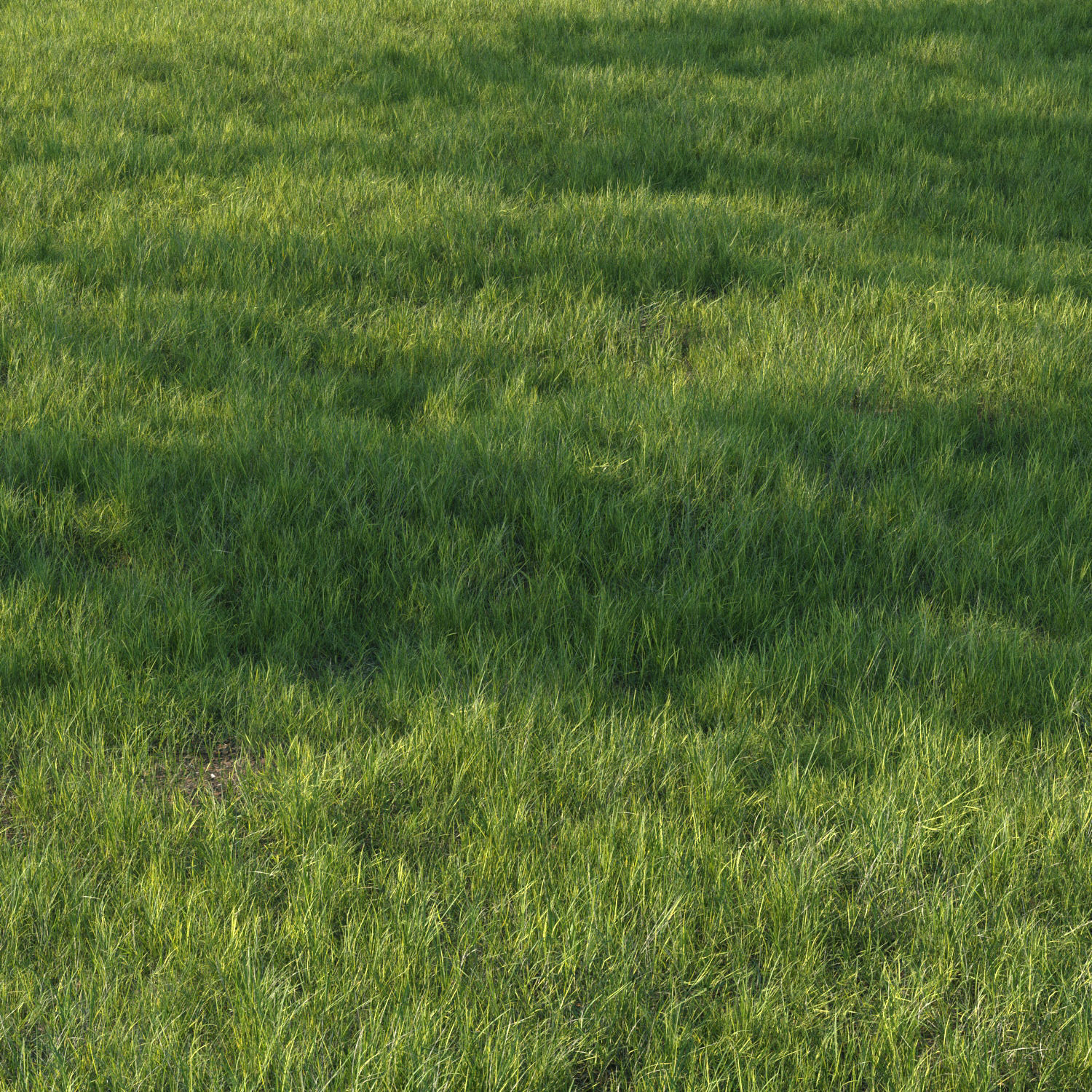 grass set07 3D model_4