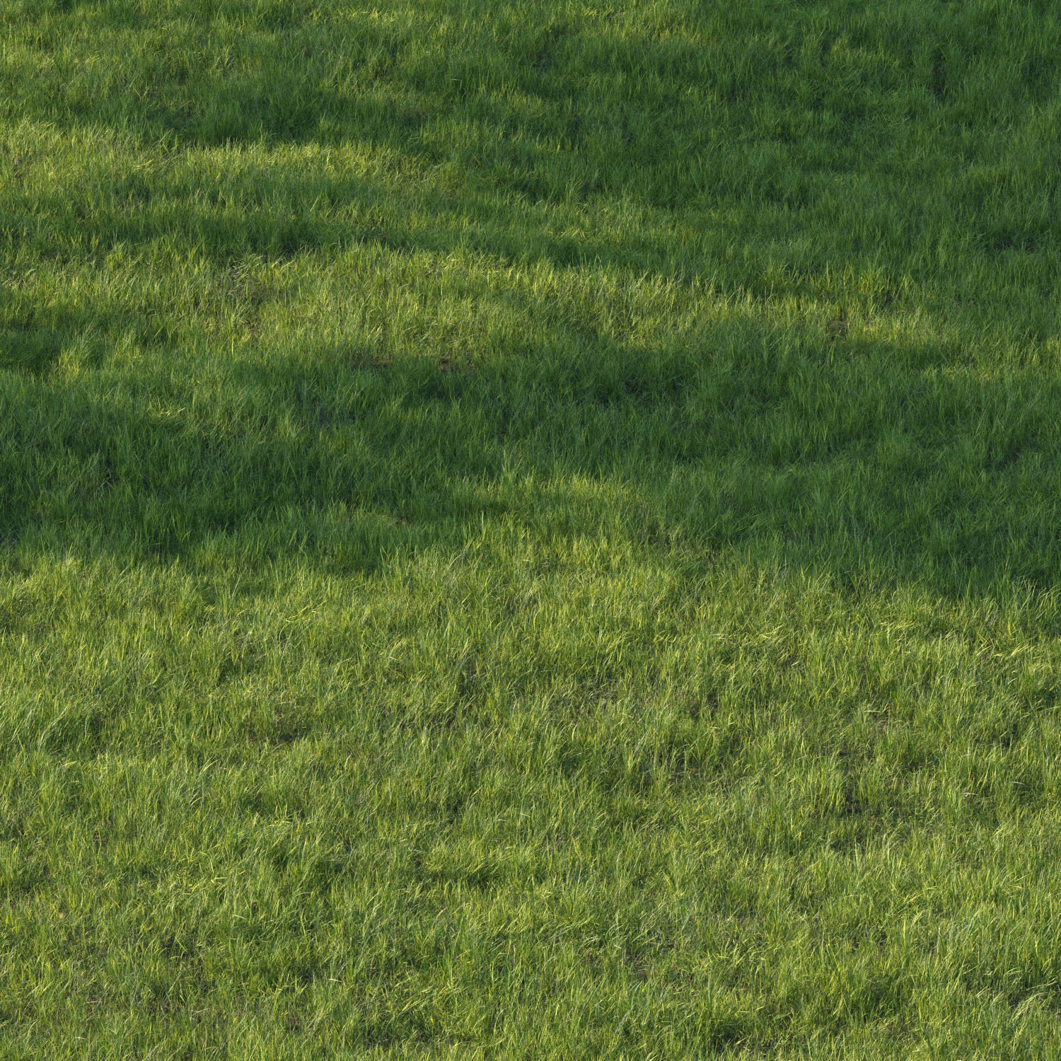 grass set07 3D model_1