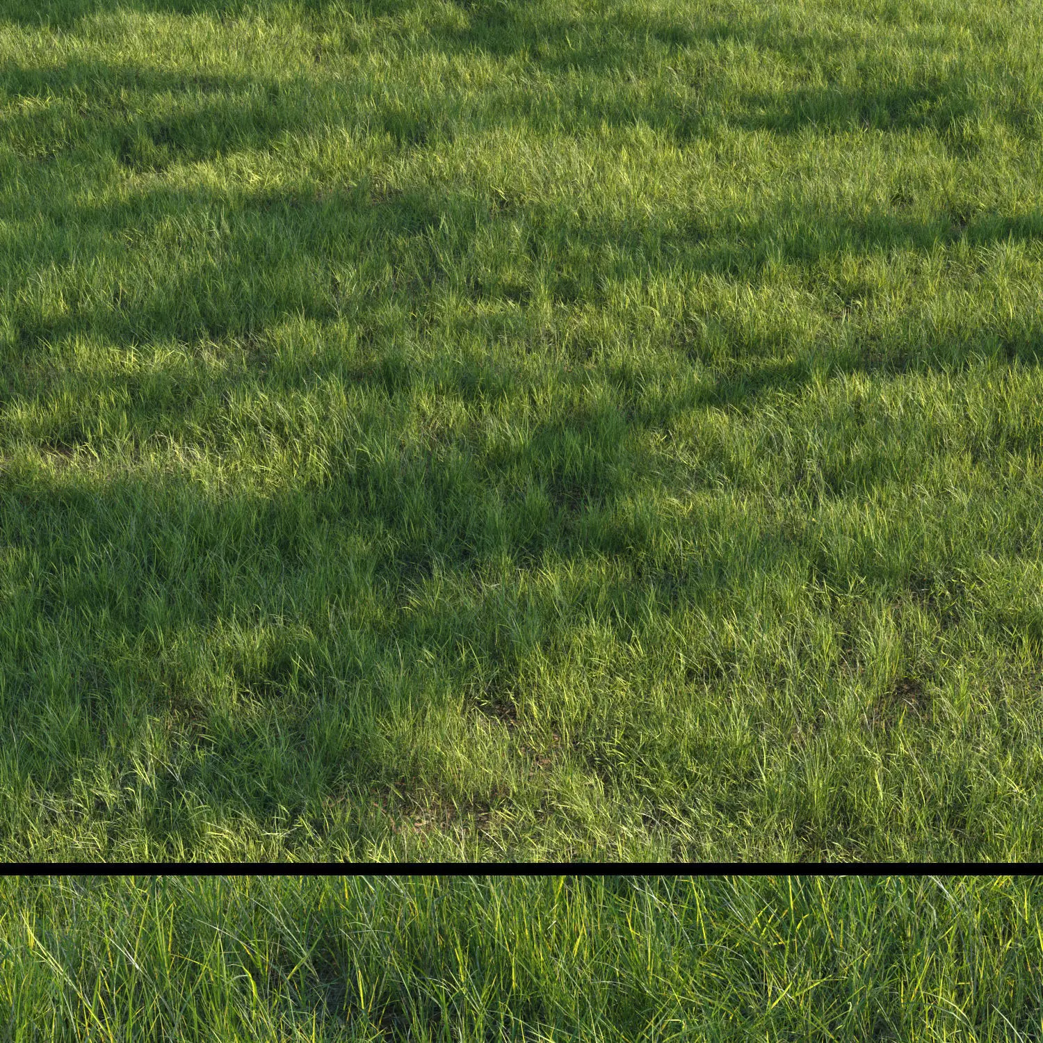 grass set07 3D model_0
