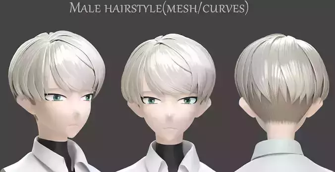 stylized Male Hairstyle