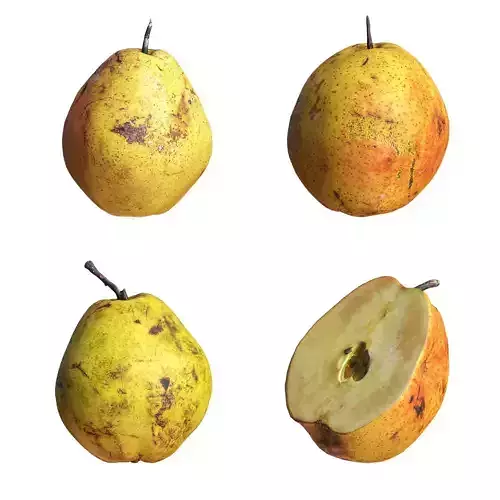4 Realistic pears 01