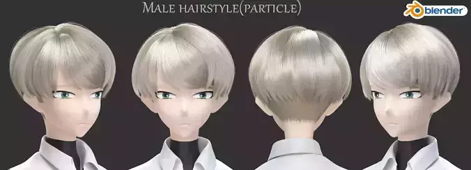 Male Hairstyle-Blender hair Particles 3D model