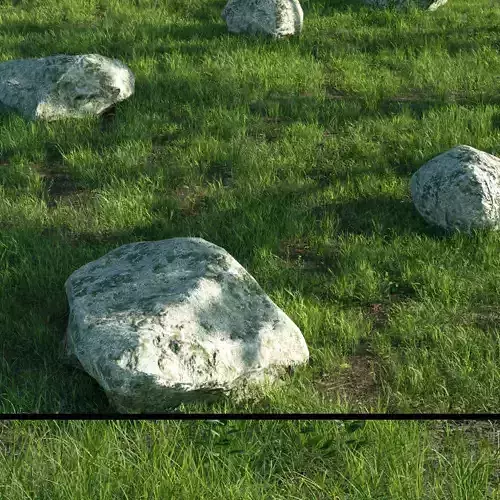 grass set08 with rock 3D model