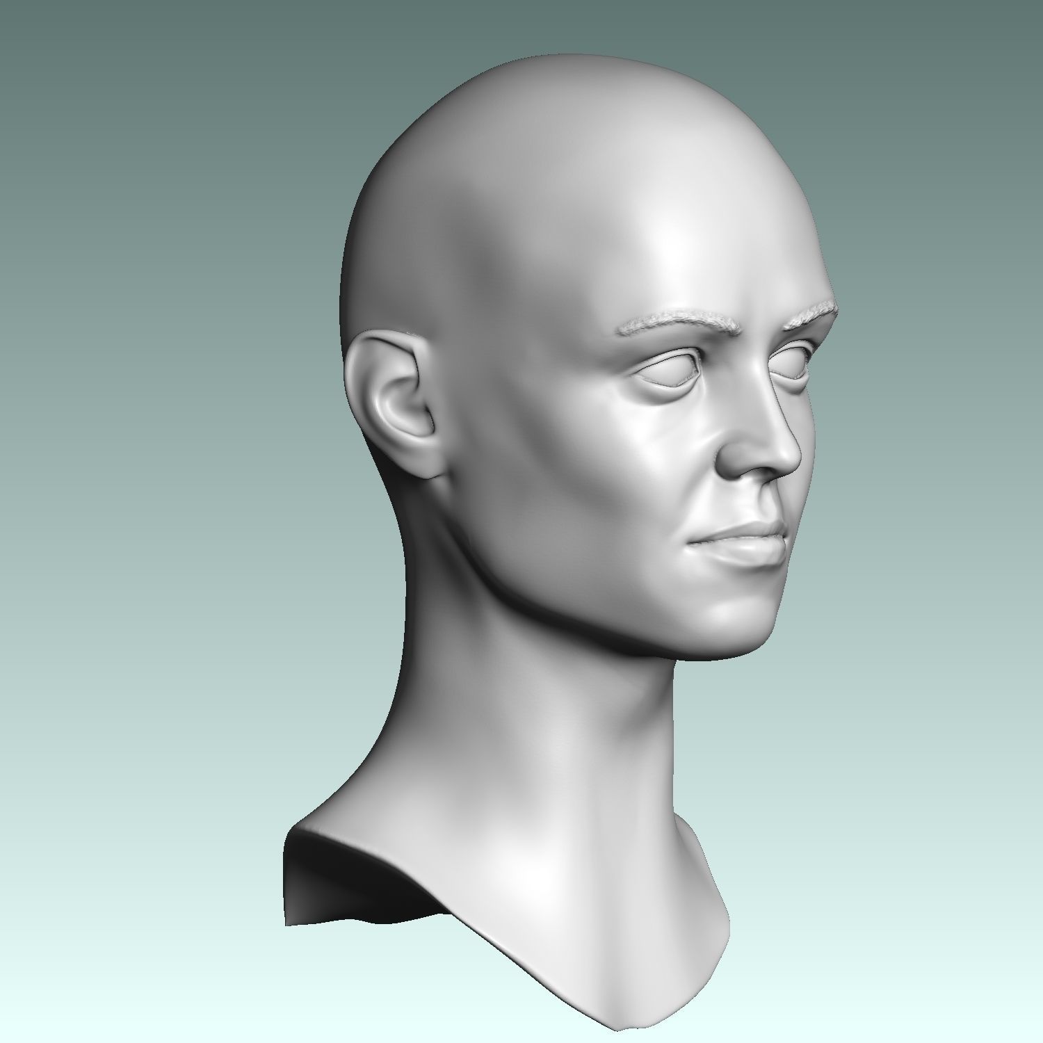 Sigourney Weaver  head  from Alien movie 3D print model_6
